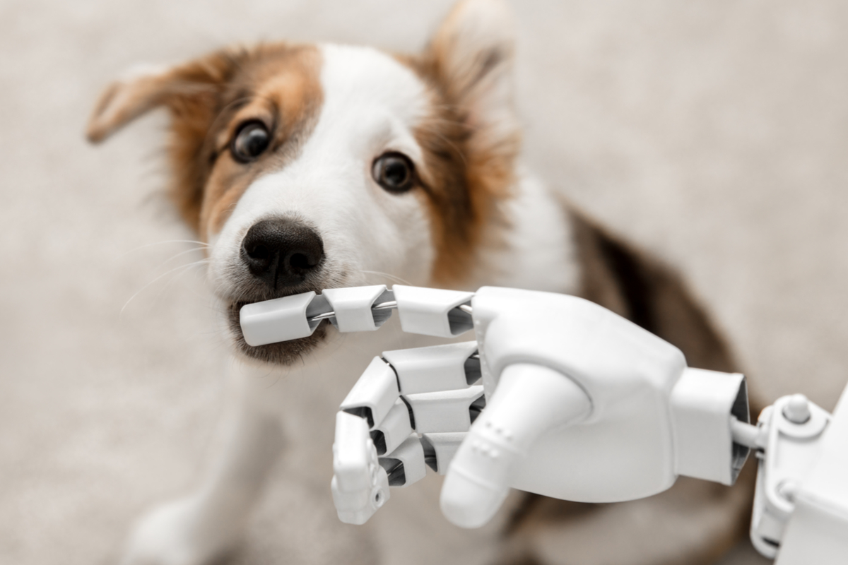 Une main de robot qui caresse un chien