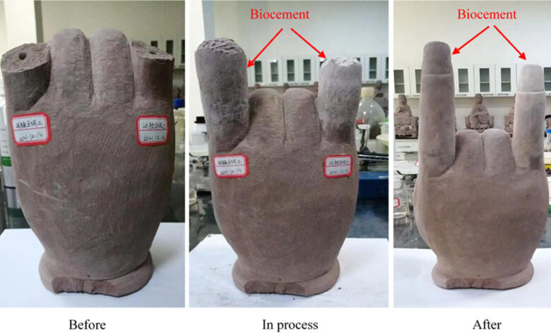 Une ancienne statue de main de Bouddha, avant et après avoir été réparée avec le biociment