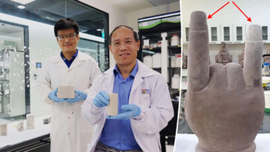 Le Dr Wu Shifan (à gauche) et le professeur Chu Jian, avec des échantillons de biociment et une ancienne statue de main de Bouddha, avant et après avoir été réparée avec le biociment
