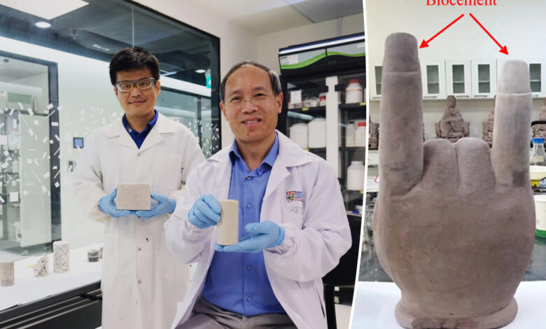 Le Dr Wu Shifan (à gauche) et le professeur Chu Jian, avec des échantillons de biociment et une ancienne statue de main de Bouddha, avant et après avoir été réparée avec le biociment