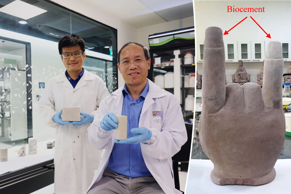 Le Dr Wu Shifan (à gauche) et le professeur Chu Jian, avec des échantillons de biociment et une ancienne statue de main de Bouddha, avant et après avoir été réparée avec le biociment