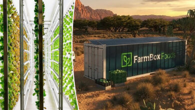 Un container Farmbox