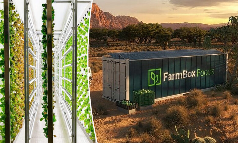 Un container Farmbox