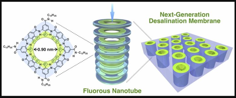 Les anneaux de fluor mesurant entre 0,9 et 1,9 nanomètre de large permettent à l'eau de passer avec peu de frottement, tandis que la charge négative repousse les ions dans le sel2022 Itoh et al.