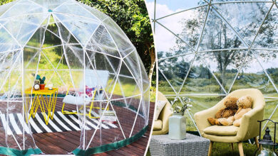 Un igloo transparent de jardin