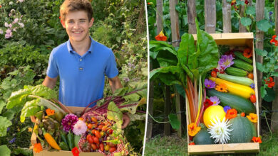 Arthur MOTTÉ et son jardin potager