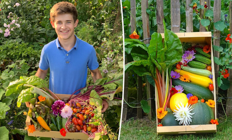 Arthur MOTTÉ et son jardin potager