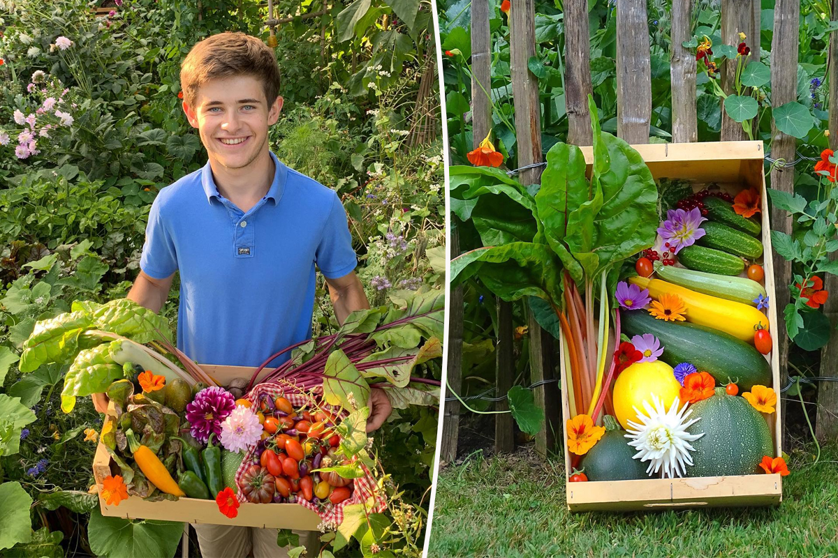 Arthur MOTTÉ et son jardin potager