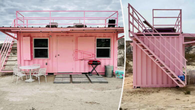 Une maison container rose