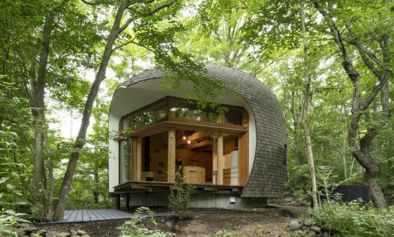une maison organique