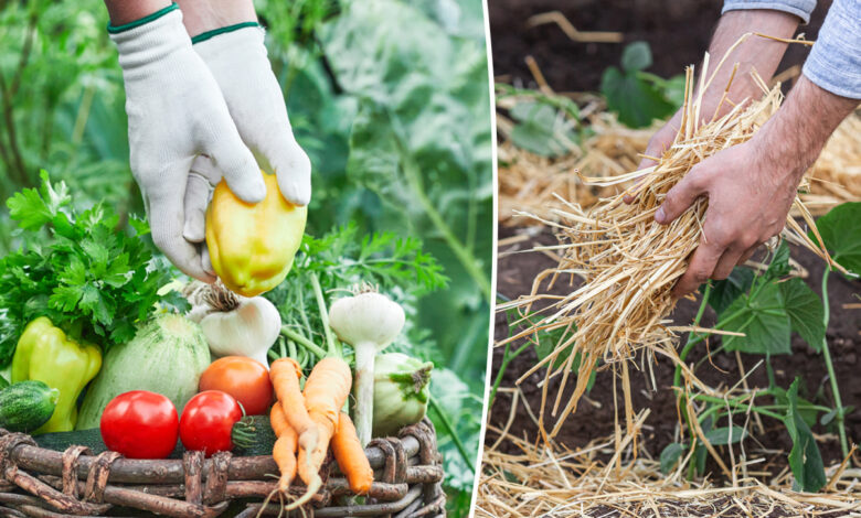 La permaculture