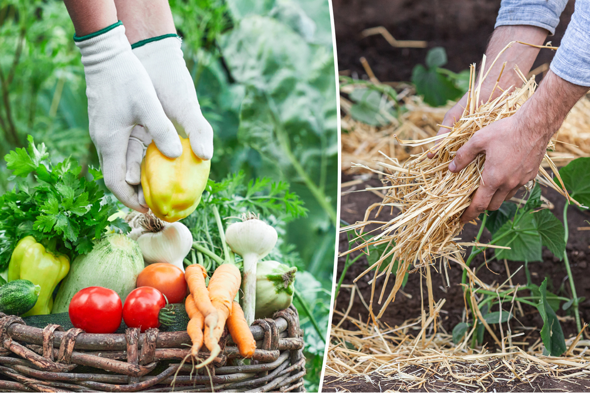 La permaculture