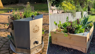 Un potager qui fait également le compost