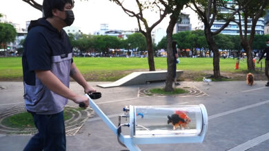 Un homme pousse une poussette aquarium avec des poissons rouges