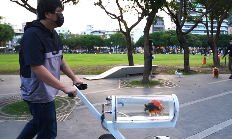 Un homme pousse une poussette aquarium avec des poissons rouges