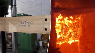 Des chercheurs inventent une poutre colonne en bois innovante qui résiste au feu