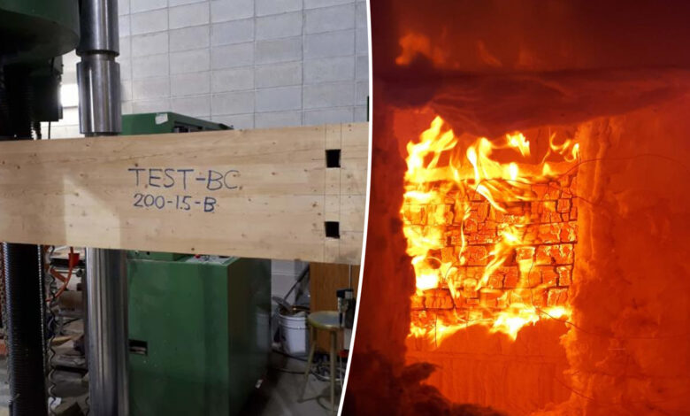 Des chercheurs inventent une poutre colonne en bois innovante qui résiste au feu