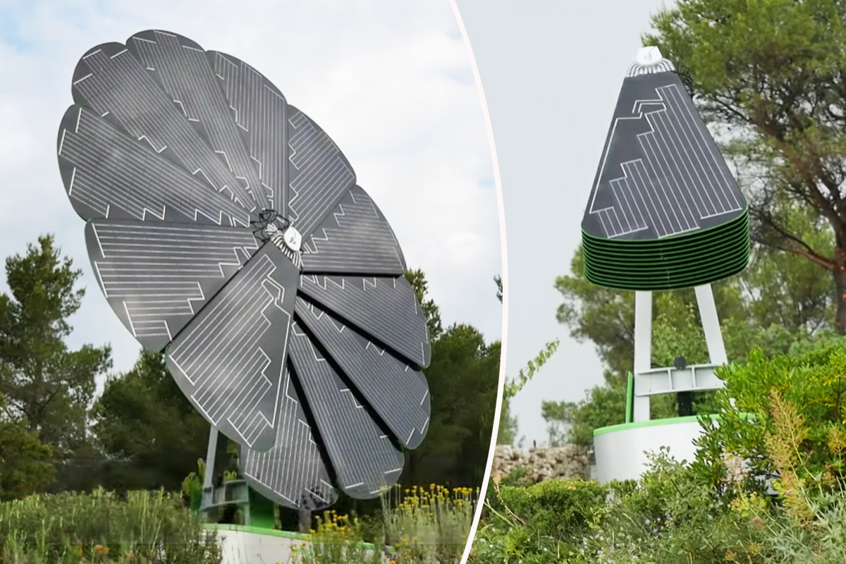 Découvrez le panneau solaire en forme de fleur