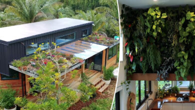 Une Tiny House végétalisée