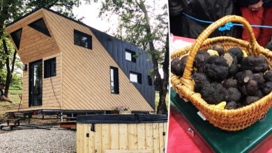 la Tiny House de la Ferme de la Truffe