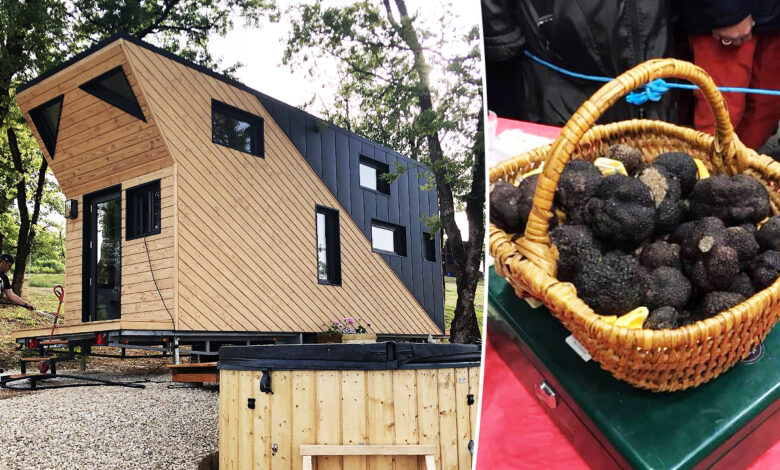 la Tiny House de la Ferme de la Truffe