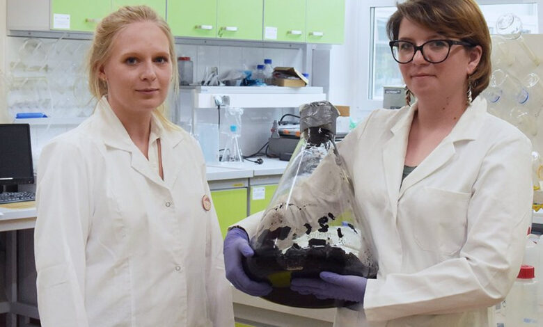 Photo de Marta Mazurkiewicz-Pawlicka, PhD, et Zuzanna Bojarska, MSc. Crédit photo : Warsaw University of Technology (WUT)