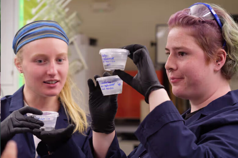 Étudiants travaillant sur du ciment neutre en carbone à l'aide de calcaire biogénique à l'Université du Colorado à Boulder. 