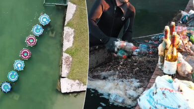 les fonctionnalités de River Cleaning pour stopper la pollution