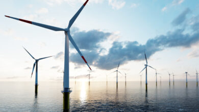 une ferme d'éoliennes offshores.