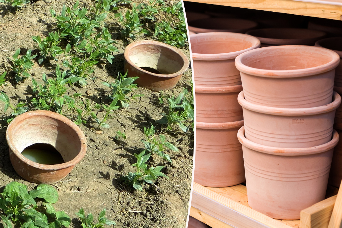 Alppos 2 Oyas à Planter de 0,8 Litre en Terre Cuite avec Couvercle - ollas  pour Plante intérieure et extérieure - Goutte à Goutte par capilarité