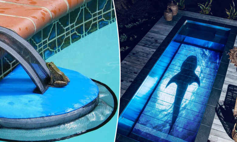 Un système qui transforme le fond de votre piscine en écran géant et un accessoire qui permet aux petits animaux de pouvoir ressortir de la piscine.