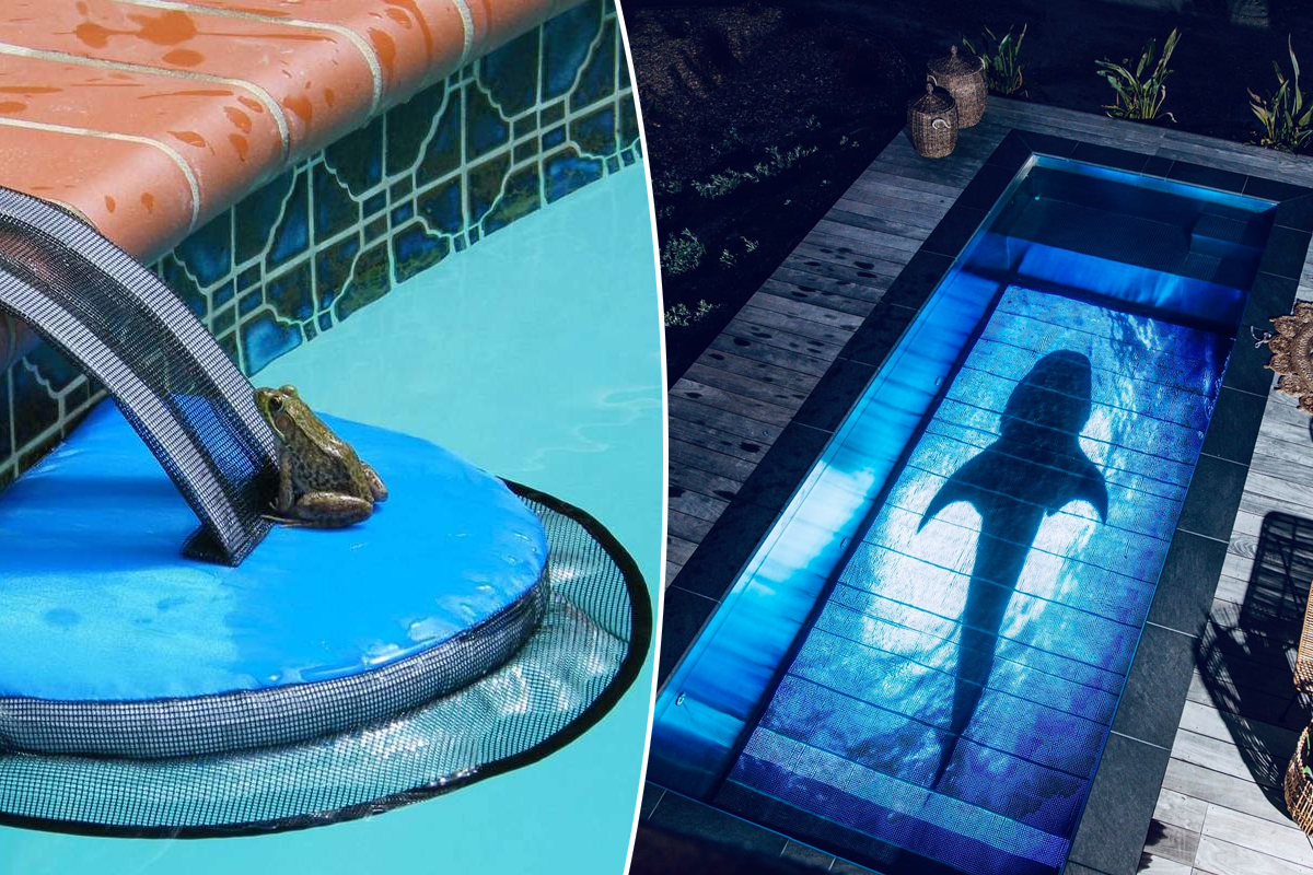 Un système qui transforme le fond de votre piscine en écran géant et un accessoire qui permet aux petits animaux de pouvoir ressortir de la piscine.