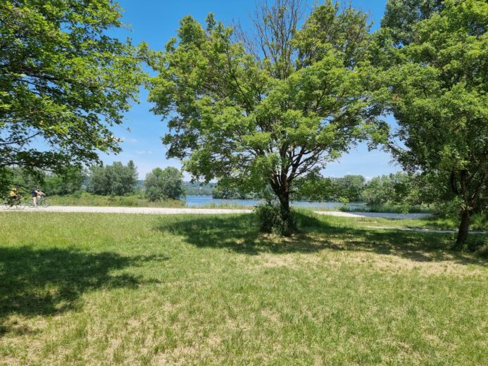 connaitre la qualité de l'eau du lac de Miribel Jonage