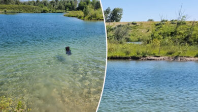 connaitre la qualité de l'eau du lac de Miribel Jonage