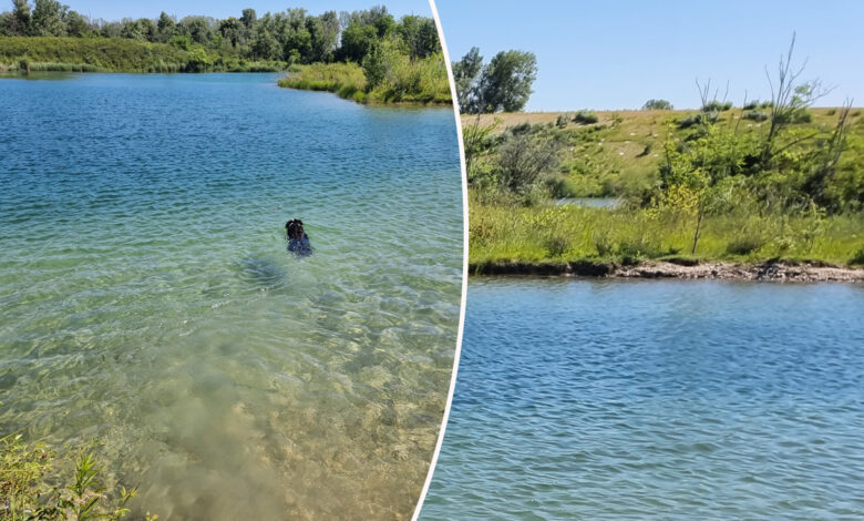 connaitre la qualité de l'eau du lac de Miribel Jonage