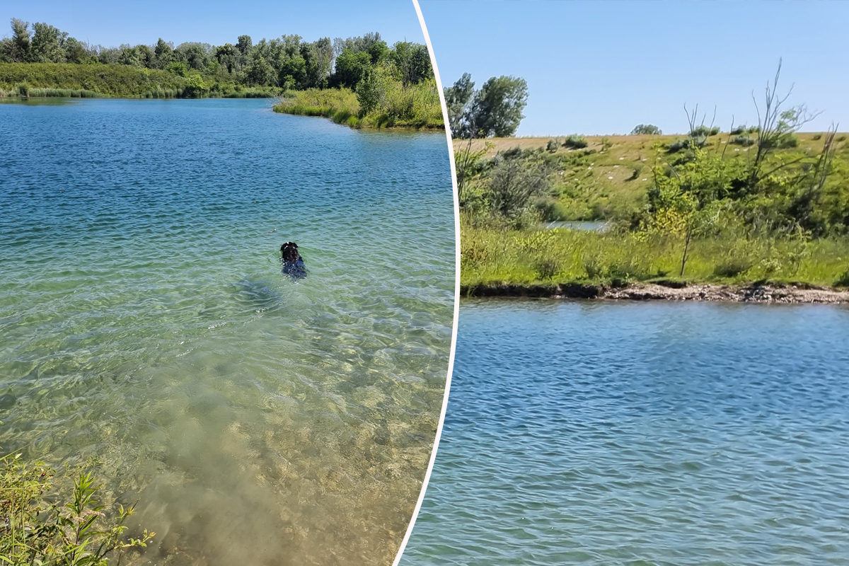 connaitre la qualité de l'eau du lac de Miribel Jonage