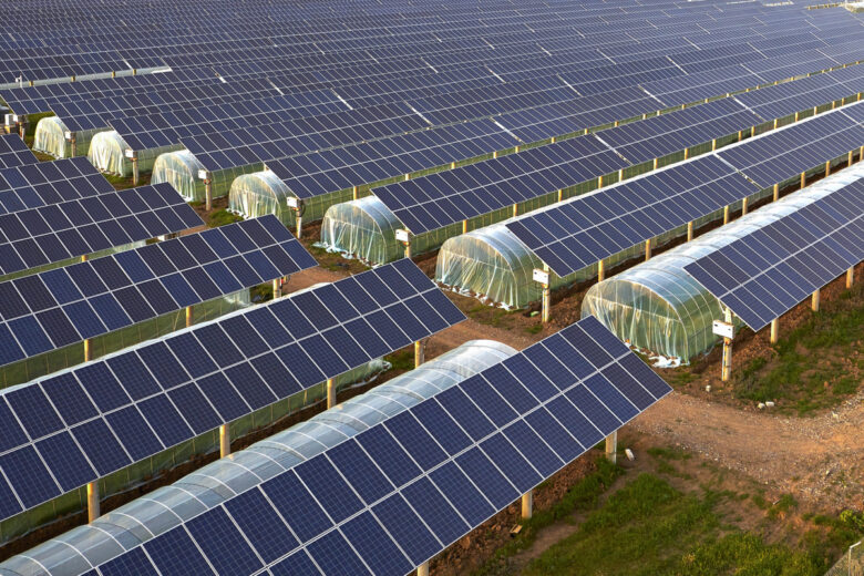 Des serres équipées de panneaux solaires