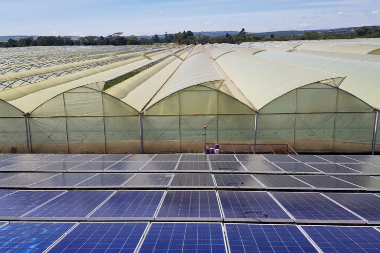 des panneaux solaires à coté de serres agricoles