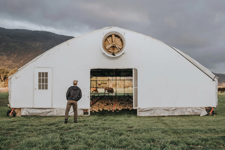 Le poulailler Pasturebird