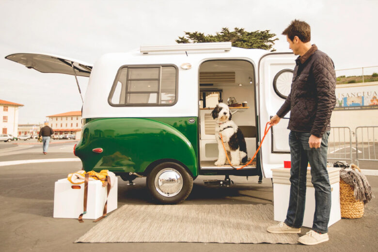 un chien dan la caravane