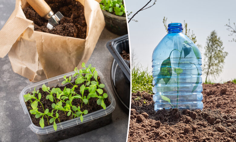 VIDÉO. Jardinage : terreau maison, récup', partage de graines