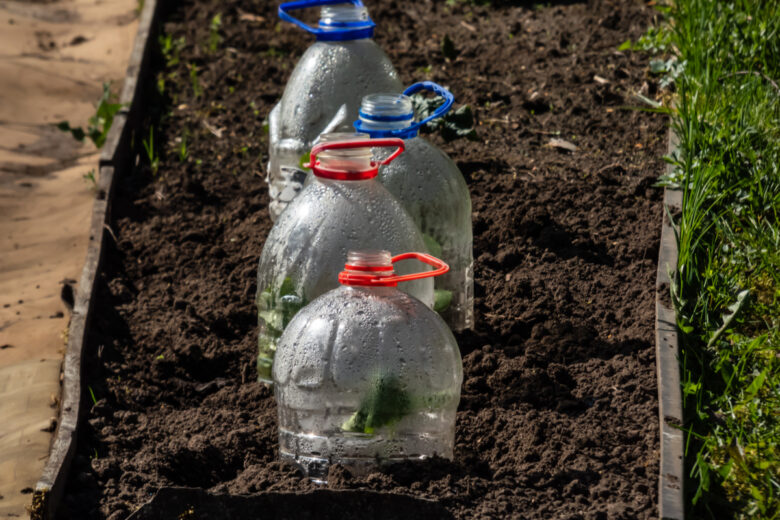 des plantes dans une serre avec des bouteilles en plastique
