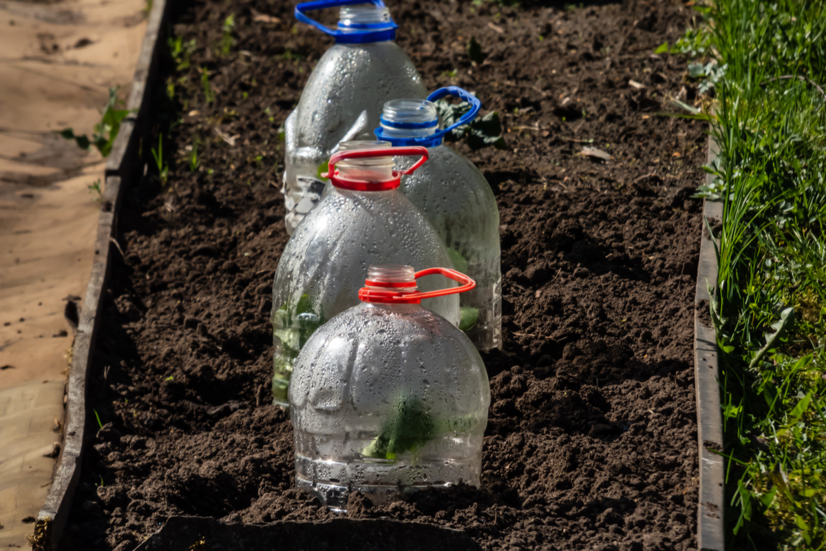 Créez une mini serre de jardin en recyclant une bouteille en plastique avec  le système Pikaserre ! 