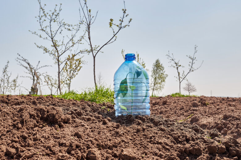 une plante dans une serre avec une grande bouteille en plastique