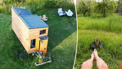 Une Tiny House écologique à louer à 45 minutes de Paris