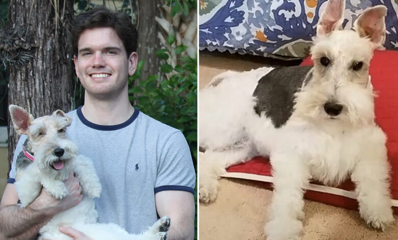 Une invention qui permet de maintenir le chien en position debout