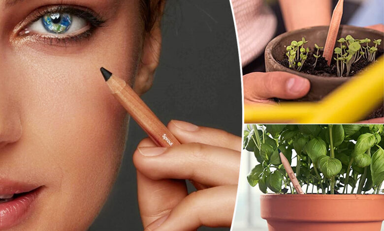 Le crayon de maquillage à planter
