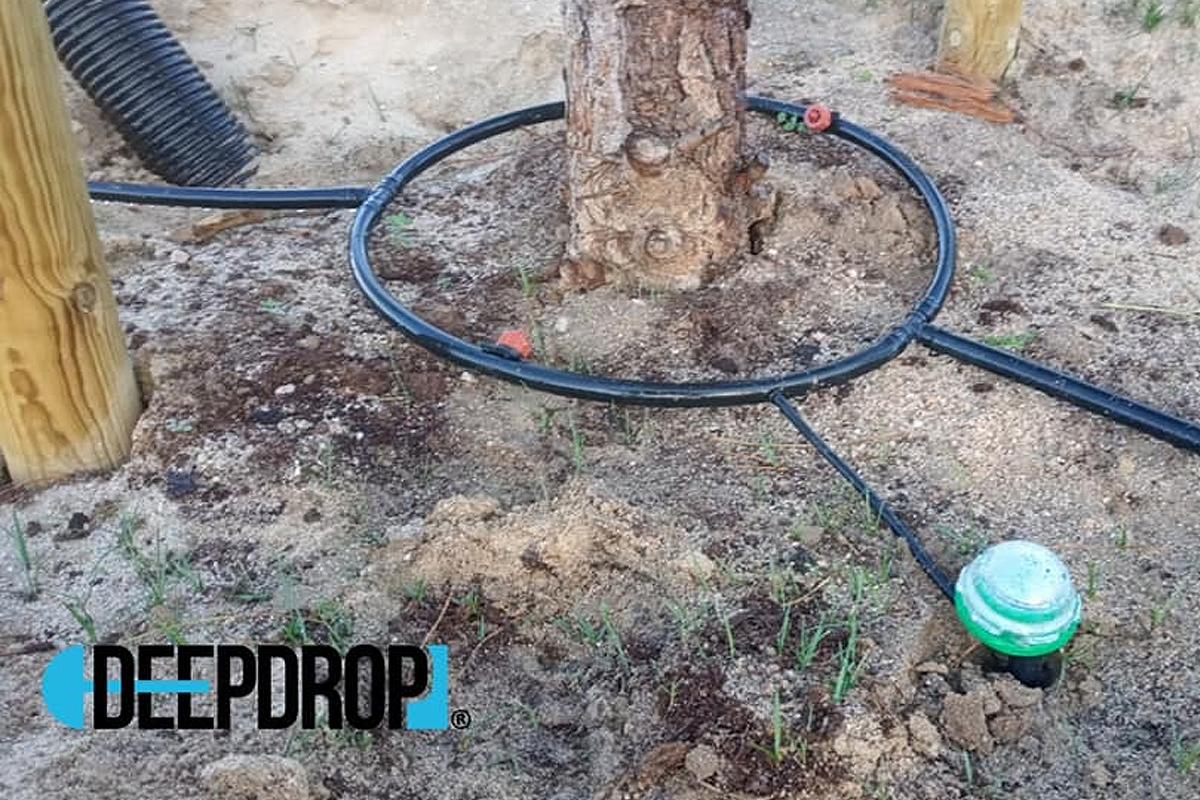 Irrigreen : l'invention d'un système d'arrosage automatique piloté par une  IA, consommant deux fois moins d'eau - NeozOne