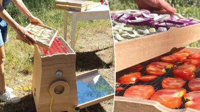 Un déshydrateur de fruits et légumes solaire