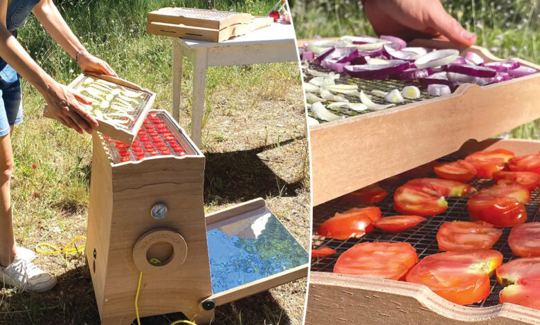 Un déshydrateur de fruits et légumes solaire